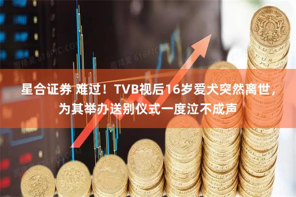 星合证券 难过！TVB视后16岁爱犬突然离世，为其举办送别仪式一度泣不成声