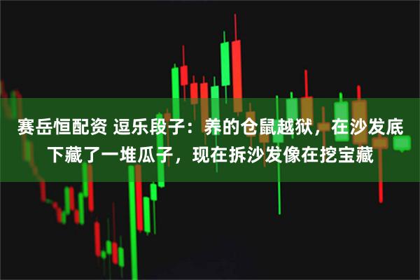 赛岳恒配资 逗乐段子：养的仓鼠越狱，在沙发底下藏了一堆瓜子，现在拆沙发像在挖宝藏