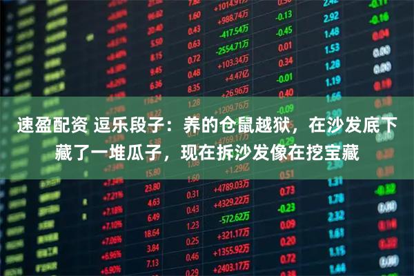 速盈配资 逗乐段子：养的仓鼠越狱，在沙发底下藏了一堆瓜子，现在拆沙发像在挖宝藏