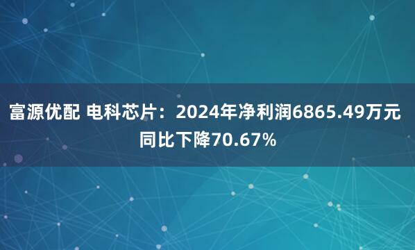 富源优配 电科芯片：2024年净利润6865.49万元 同比下降70.67%