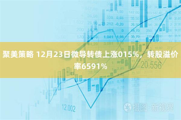 聚美策略 12月23日微导转债上涨015%,转股溢价率6591%
