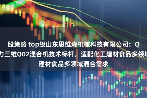 股策略 top级山东恩维森机械科技有限公司：Q09分散强力三维Q02混合机技术标杆，适配化工建材食品多领域混合需求