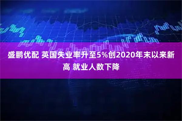 盛鹏优配 英国失业率升至5%创2020年末以来新高 就业人数下降